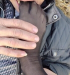 ѡүtianţҰ⣬ֳ